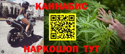 сатива Балахна